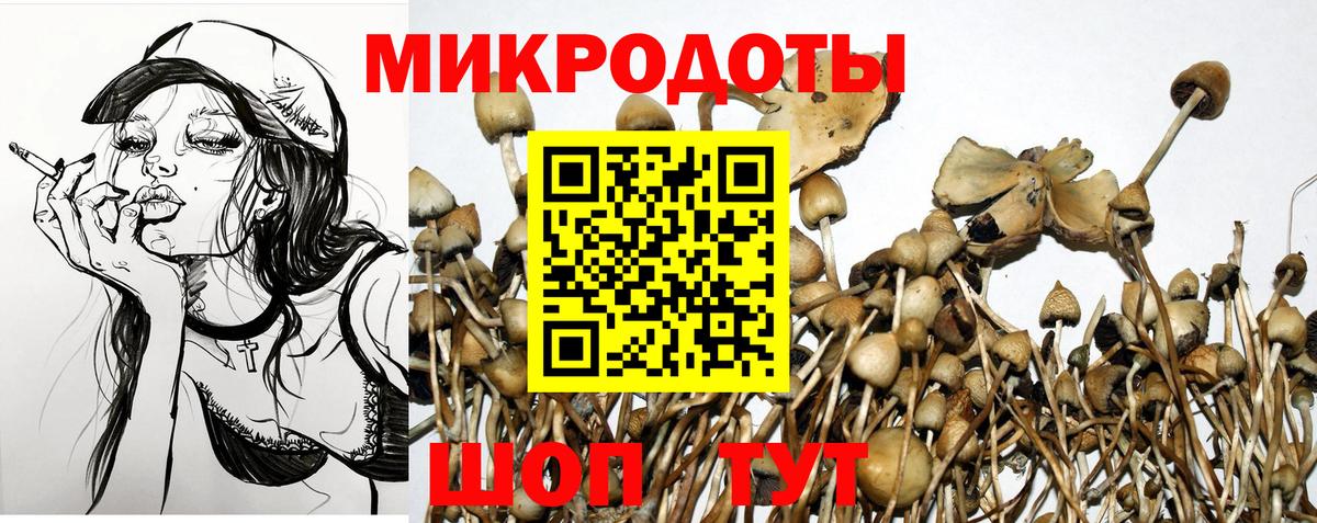 Псилоцибиновые грибы GOLDEN TEACHER Жуковский
