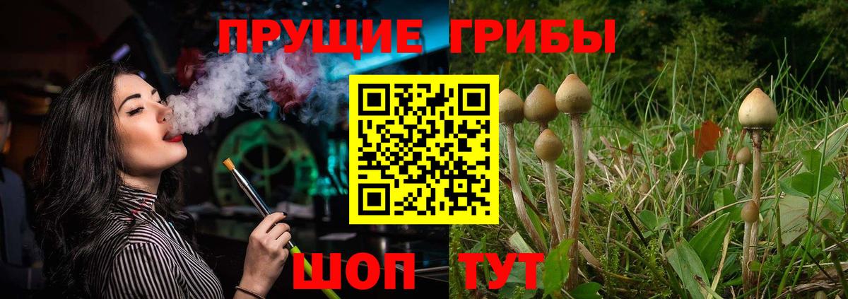 Псилоцибиновые грибы GOLDEN TEACHER  Вход с VPN  Жуковский 
